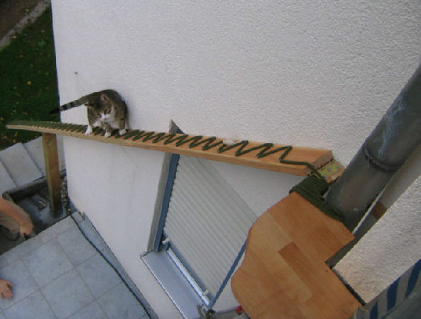 We Like Cat Ladders! Pet Project