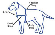 harnessdiagram.jpg