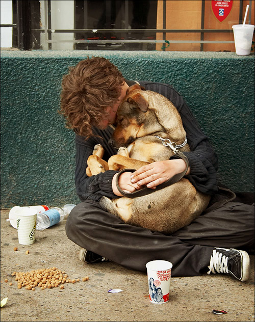 homeless_sleeping_dog1.jpg