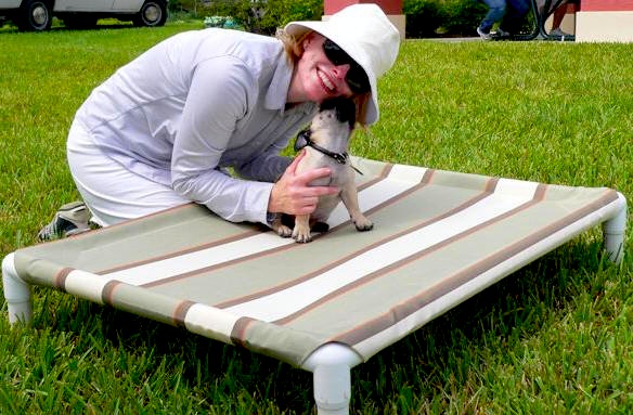build a raised dog bed