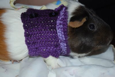 2 or Single Guinea Pig Sweaters Guinea Pig Jumper Hand knitted in 2 Tone Pink and Plain Pink Ripple Pattern 6.5/'/' Handknitted in the UK